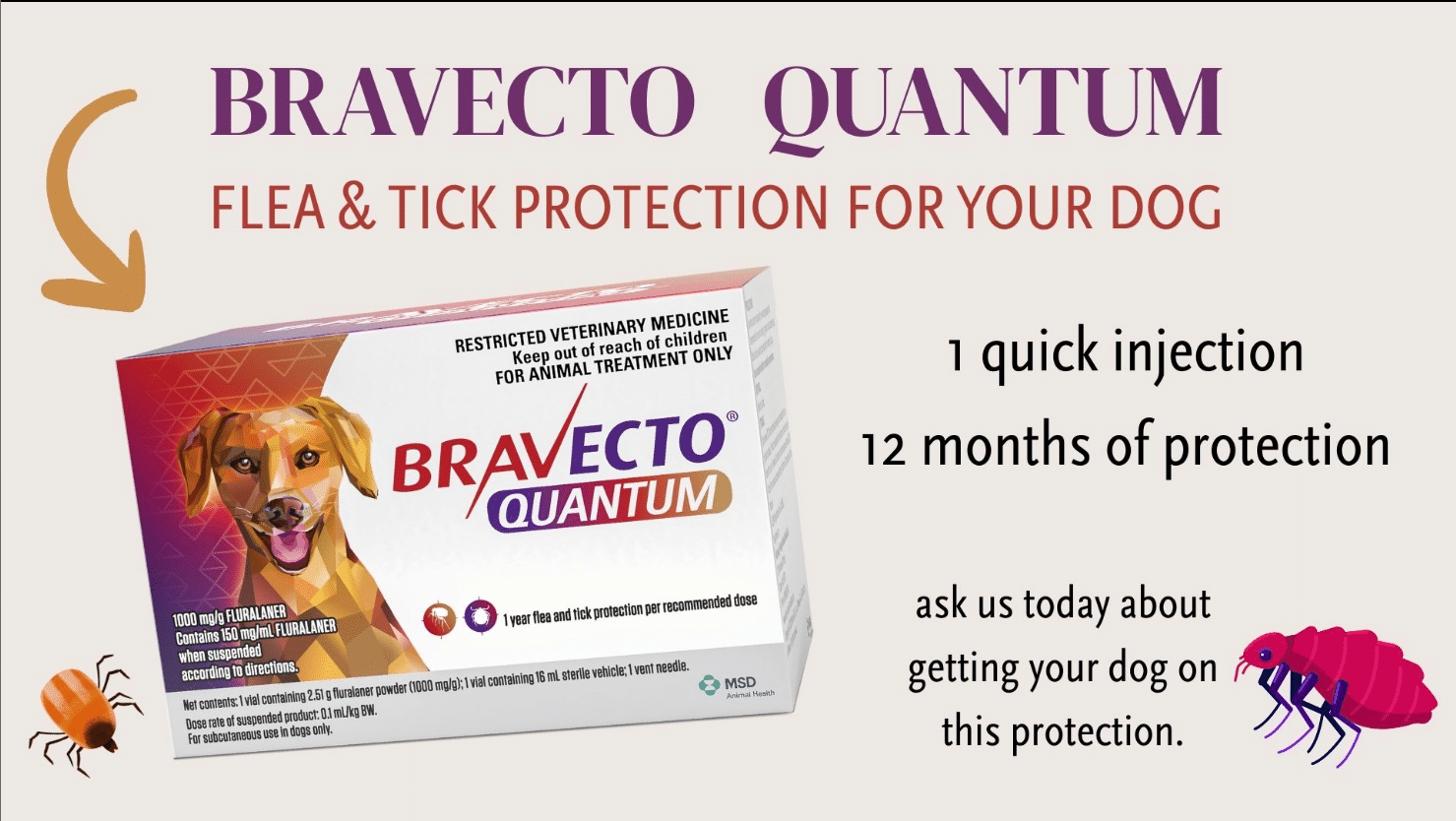 Bravecto Quantum vet in Easley, SC